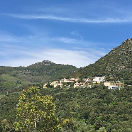 Charmant T2 Hauteurs De Bastia Bastia  Eksteriør bilde