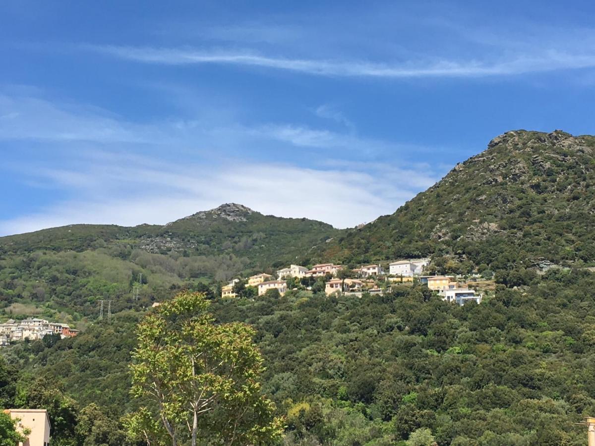 Charmant T2 Hauteurs De Bastia Bastia  Eksteriør bilde